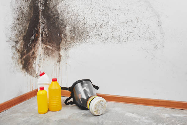 Best Mold Testing  in Pottstown, PA